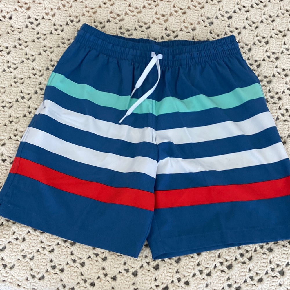 Chubbies multi color stripes swim trunks